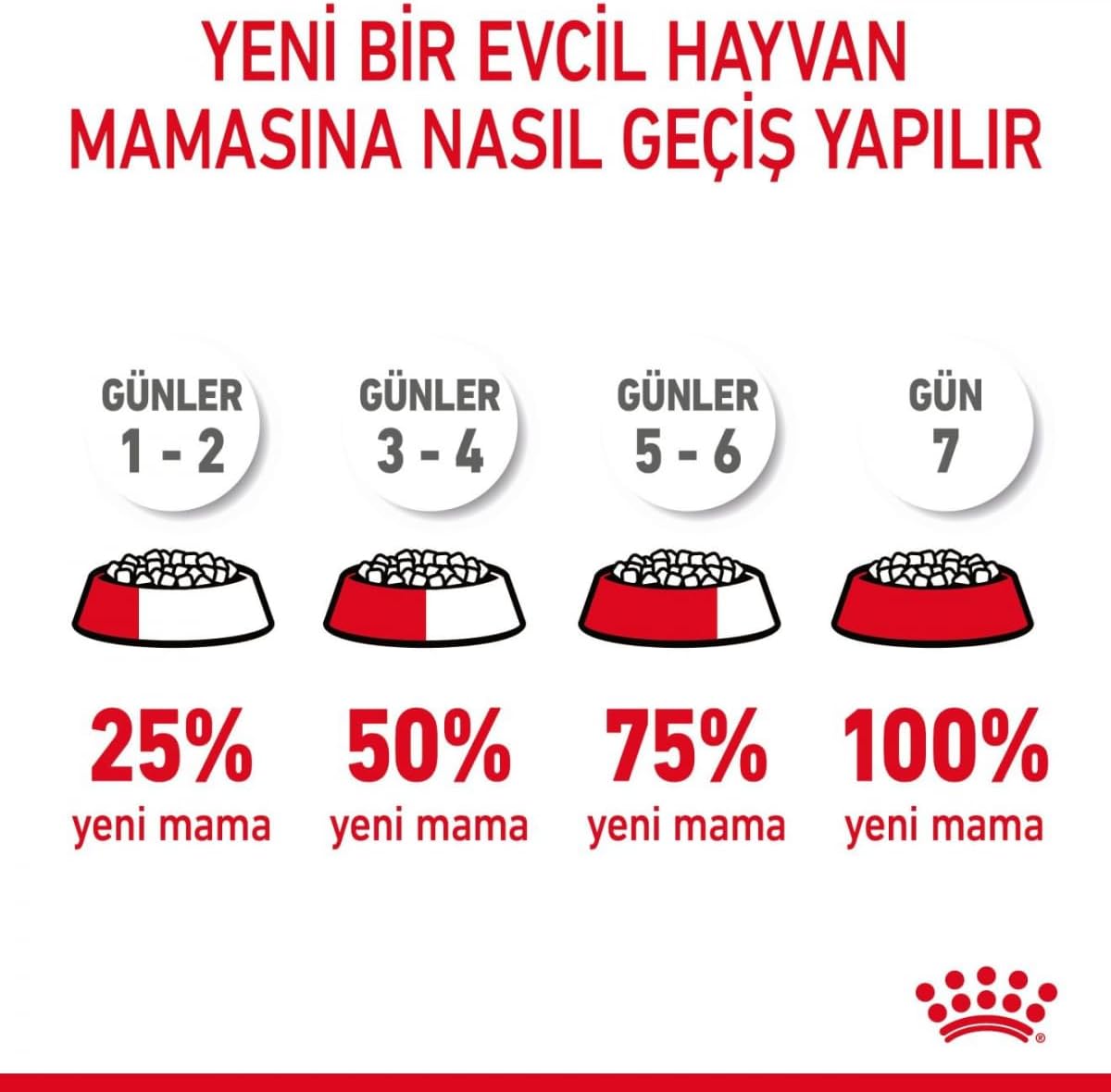Ürün Görseli 4