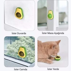 Ürün Görseli 2 Ürün Görseli 2