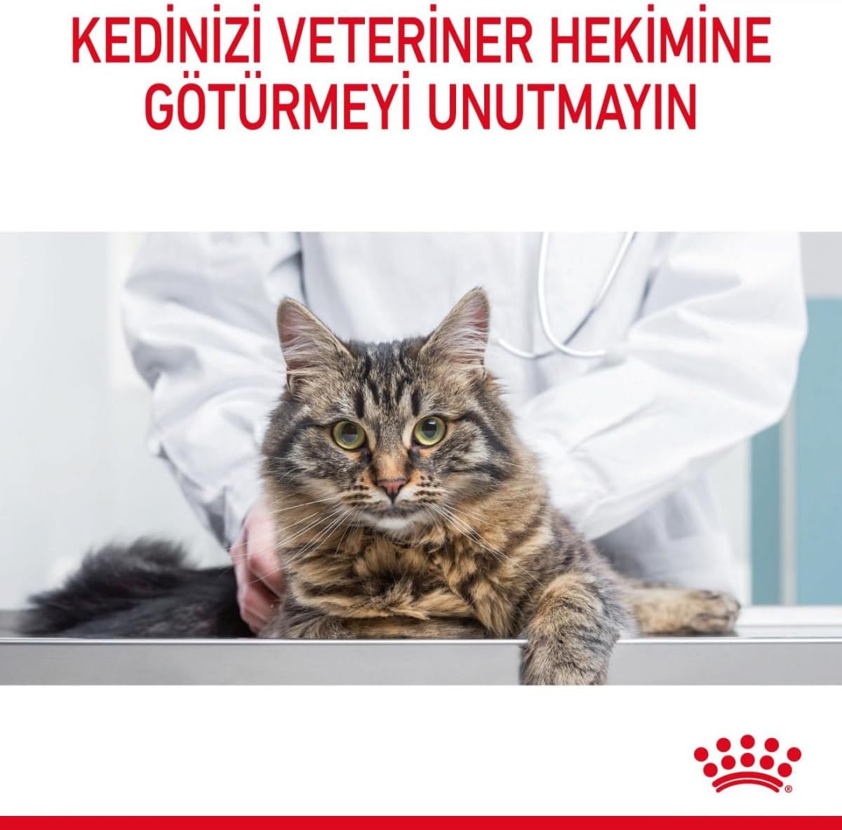 Ürün Görseli 5