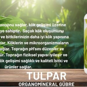 Ürün Görseli 2 Ürün Görseli 2