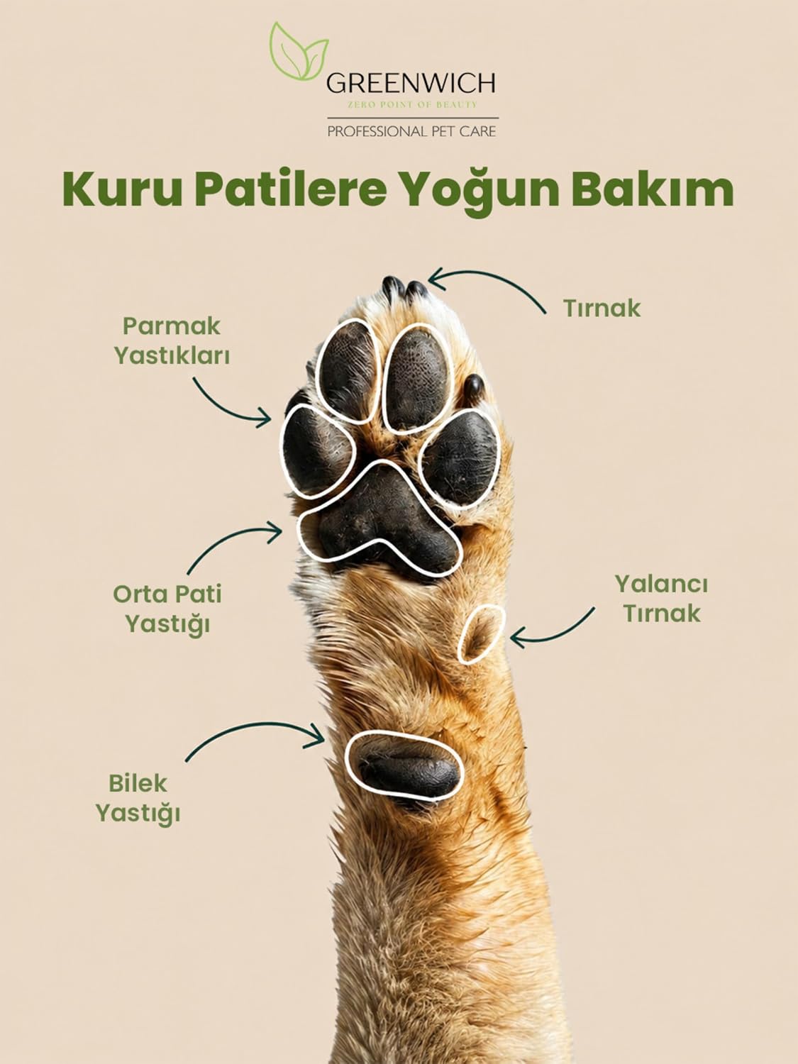 Ürün Görseli 4
