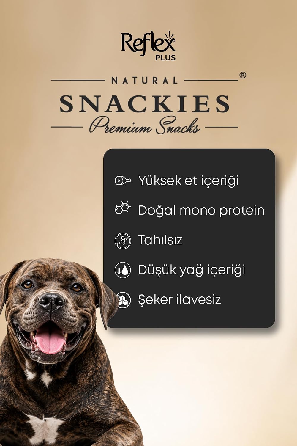 Ürün Görseli 4