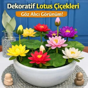 Ürün Görseli 2 Ürün Görseli 2