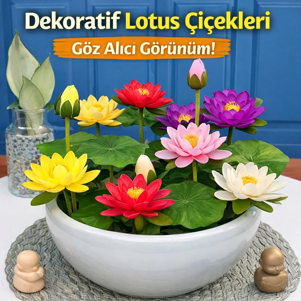 Ürün Görseli 2