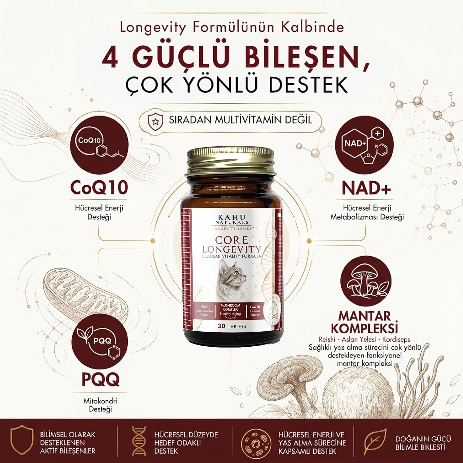 Ürün Görseli 5