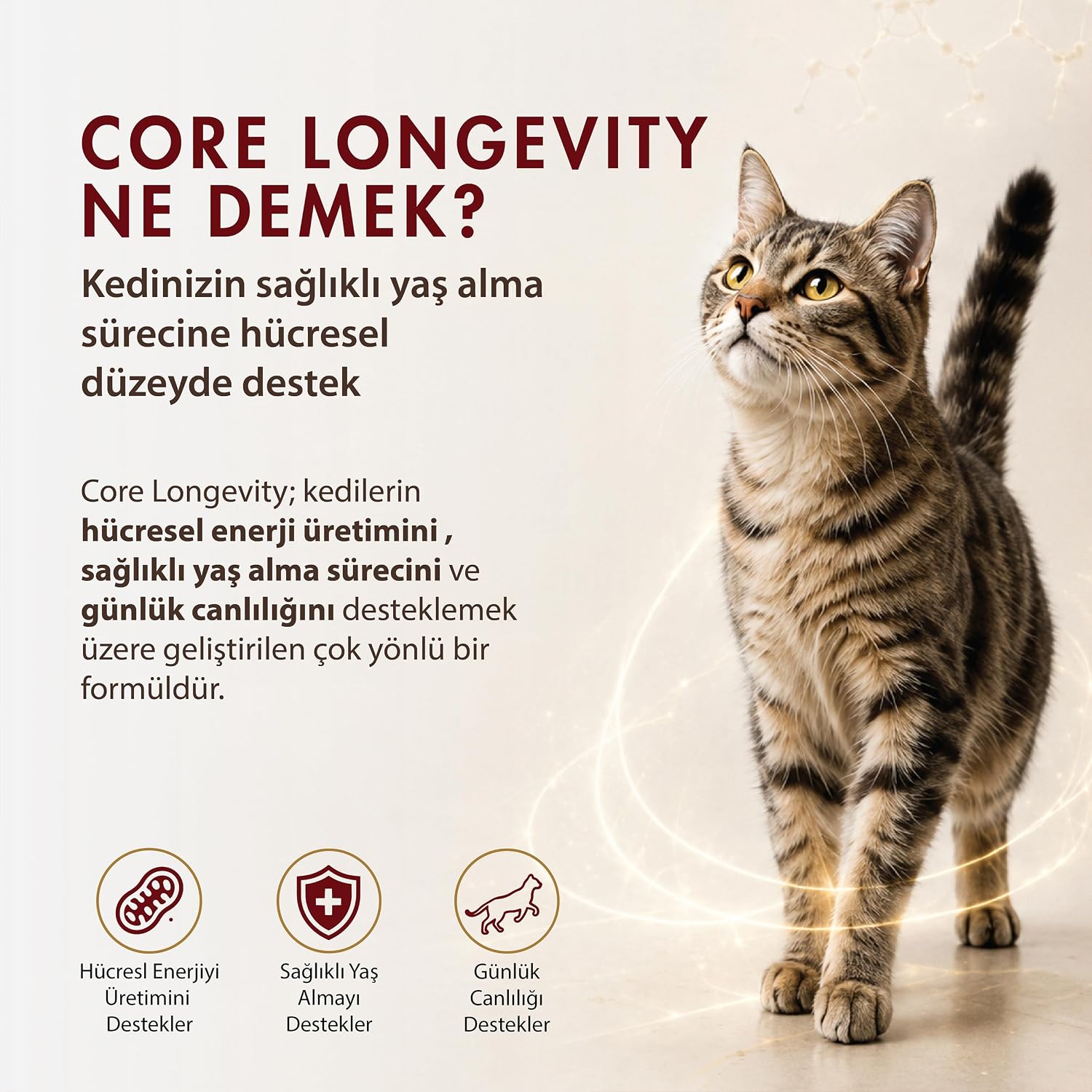 Ürün Görseli 3