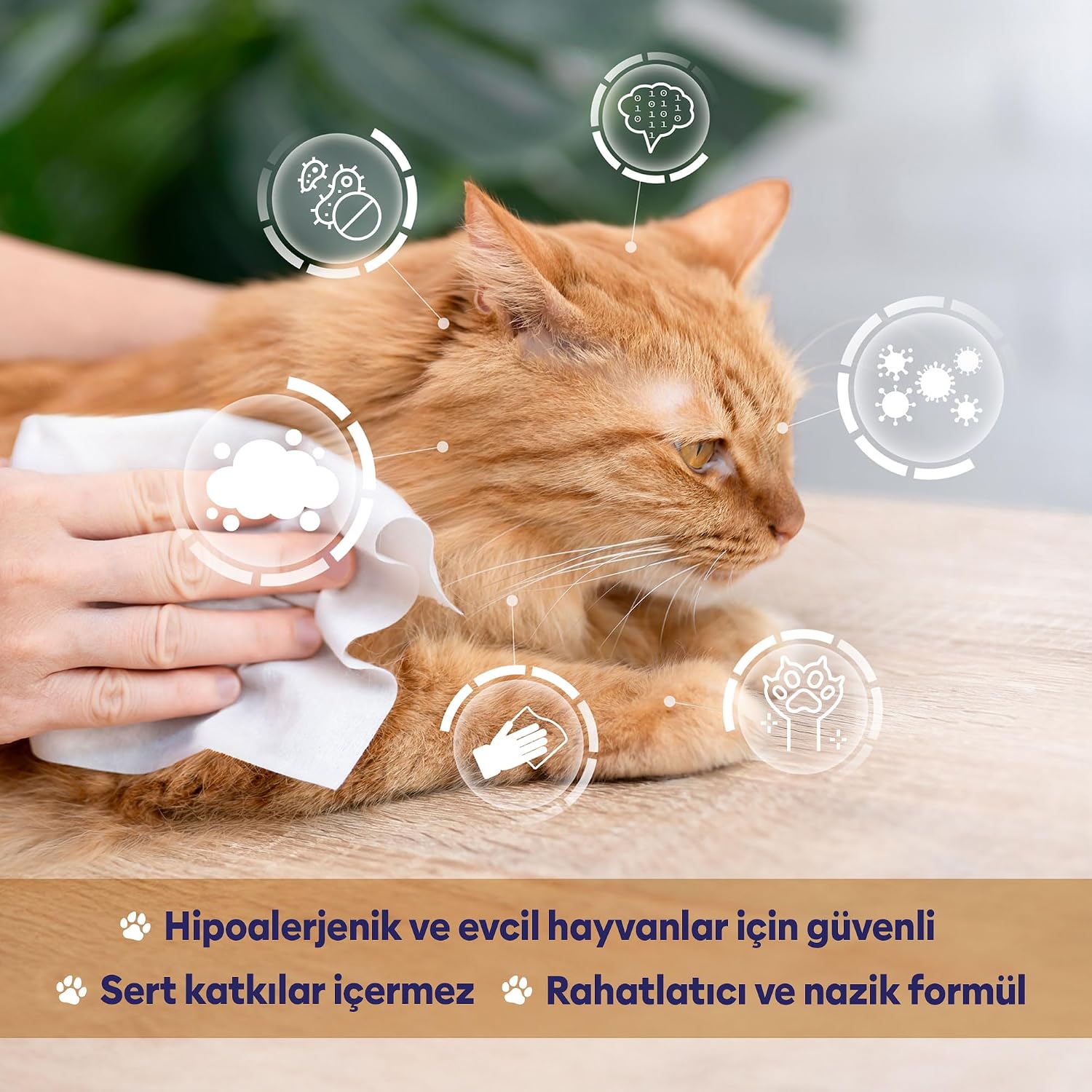 Ürün Görseli 5